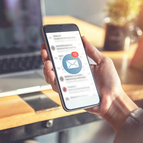 Montanaris Newsletter